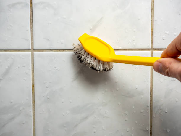 Best Fast Mold Removal  in Mission Nyon, CA