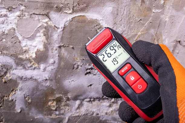 Best Residential Mold Removal  in Mission Nyon, CA